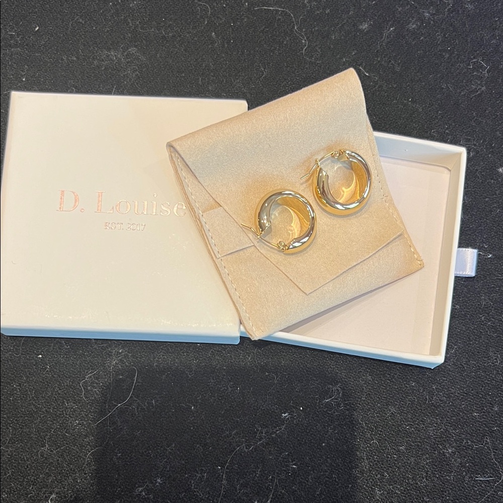 Elegant Gold Hoop Earrings